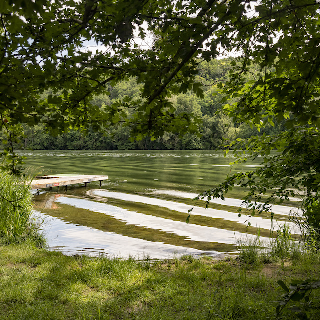 La Scandiberique entre Fontainebleau et Dammarie-les-Lys / © Jérômine Derigny pour Enlarge your Paris