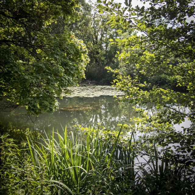 La Scandiberique entre Fontainebleau et Dammarie-les-Lys / © Jérômine Derigny pour Enlarge your Paris