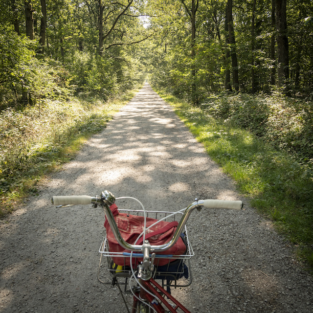 La Véloscénie entre Versailles et Rambouillet /  © Jérômine Derigny pour Enlarge your Paris