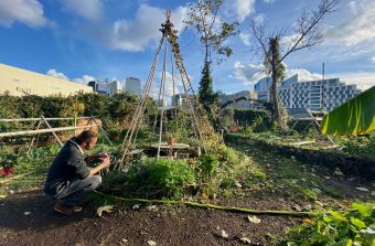 La friche Vive les Groues, oasis urbaine aux portes de La Défense