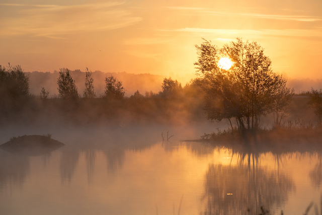 La réserve naturelle du Grand Voyeux en Seine-et-Marne / © AEV - Jean-François Hellio et Nicolas Van Ingen