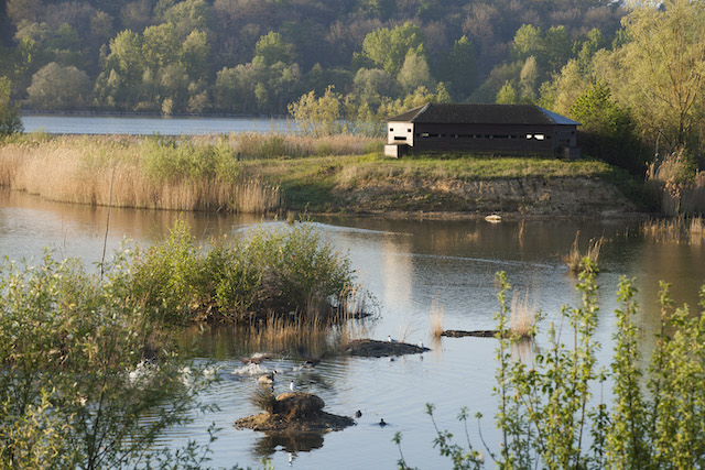 La réserve naturelle du Grand Voyeux en Seine-et-Marne / © AEV - Jean-François Hellio et Nicolas Van Ingen