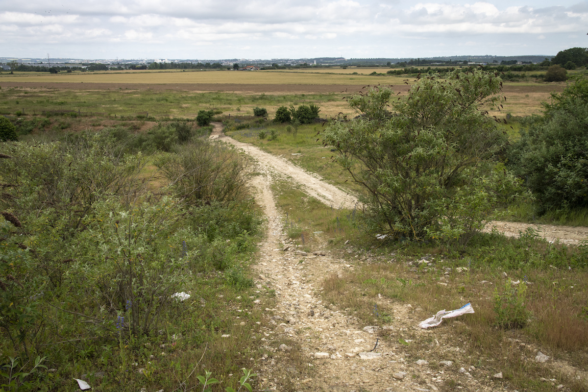 Plaine agricole à l'abandon, la plaine de Pierrelaye-Bessancourt dans le Val-d’Oise va voir pousser une nouvelle forêt avec la plantation d'un million d'arbres par l'ONF / © Jérômine Derigny pour Enlarge your Paris