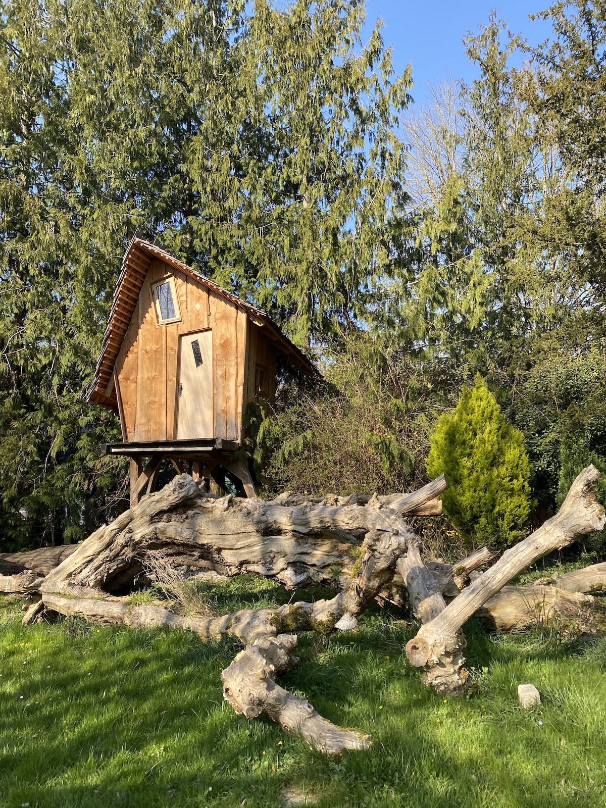 Dans le parc du Moulin jaune / © Vianney Delourme pour Enlarge your Paris