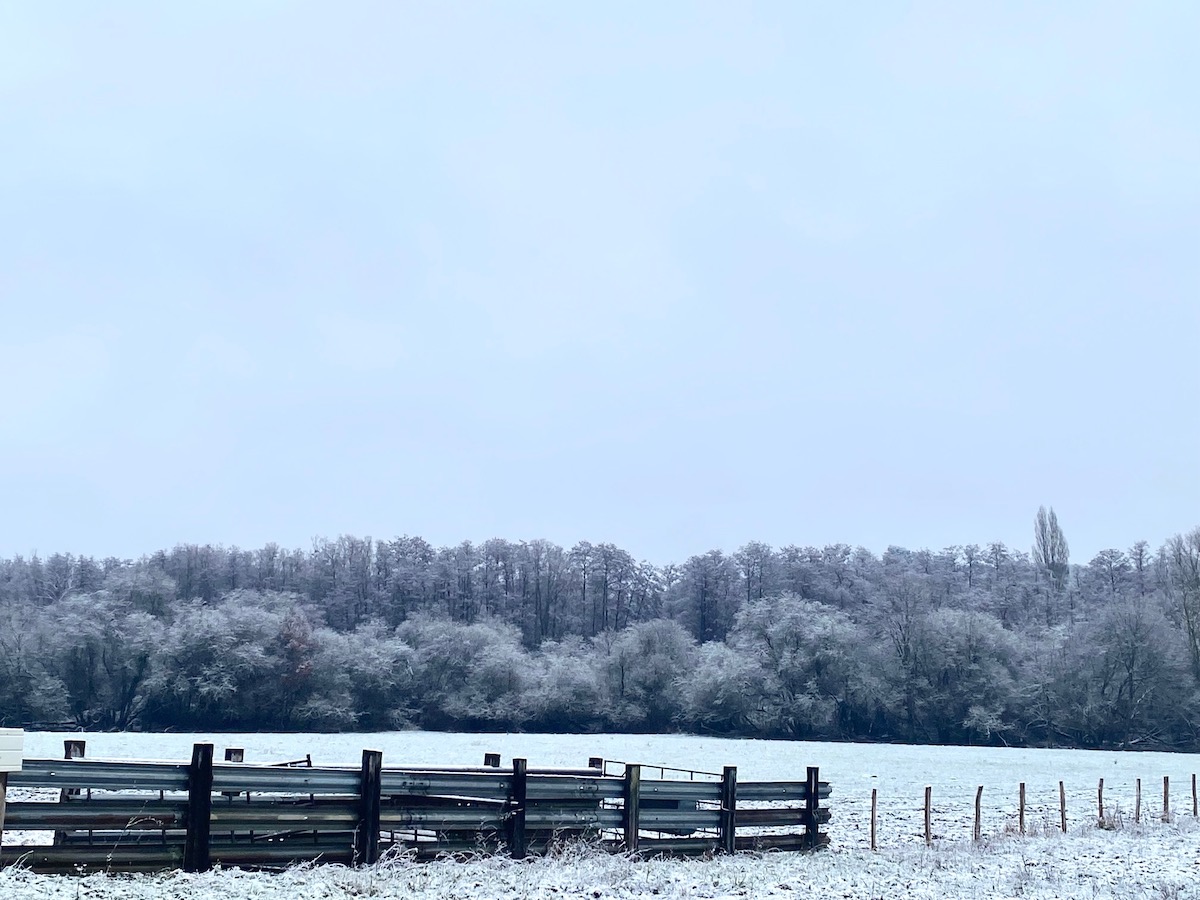 Le parc naturel de la Haute Vallée de Chevreuse sous la neige le 19 janvier / © Steve Stillman pour Enlarge your Paris