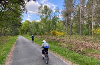 À vélo sur les traces de Louis XIV en forêt de Rambouillet