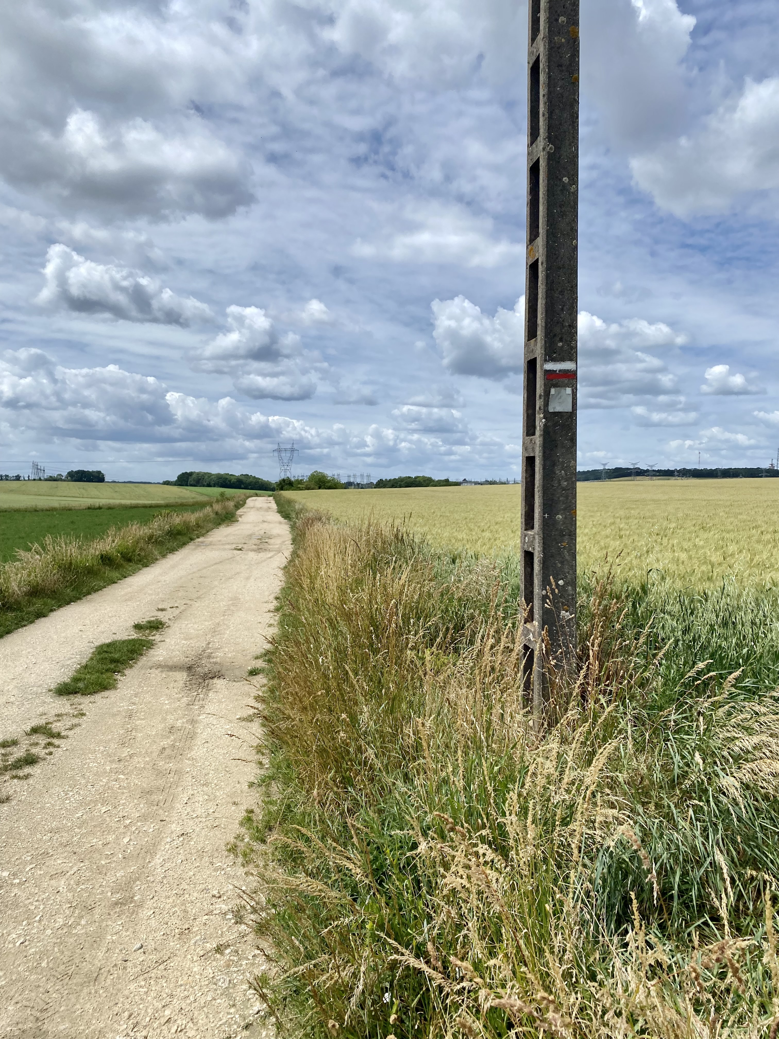 Les terres agricoles du Plateau Briard. 