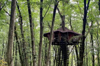 J’ai réalisé un rêve : dormir dans une cabane dans les arbres