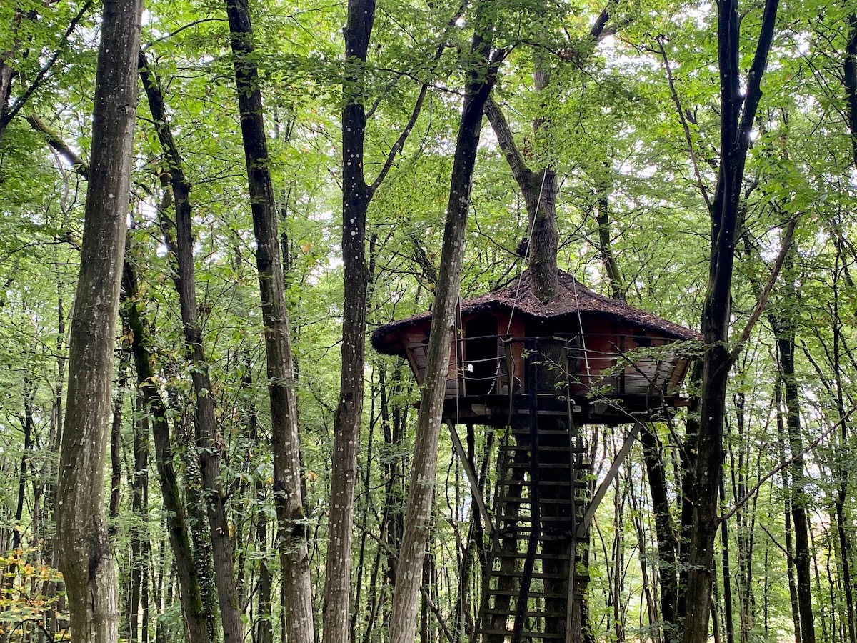 L'une des deux cabanes installées dans les arbres   à Janville-sur-Juine / © Steve Stillman pour Enlarge your Paris 