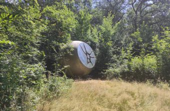 Escapade artistique et gastronomique en forêt de Sénart