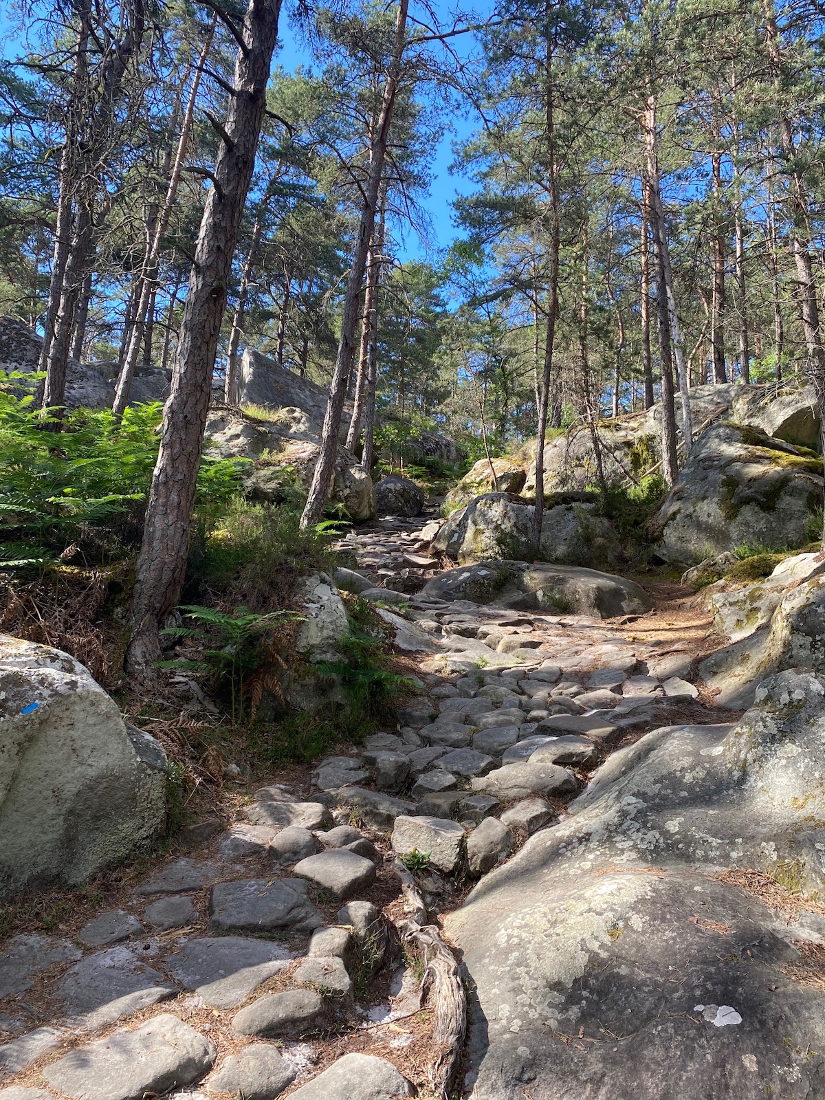 La Promenade des Gorges de Franchard en forêt de Fontainebleau / © Steve Stillman pour Enlarge your Paris