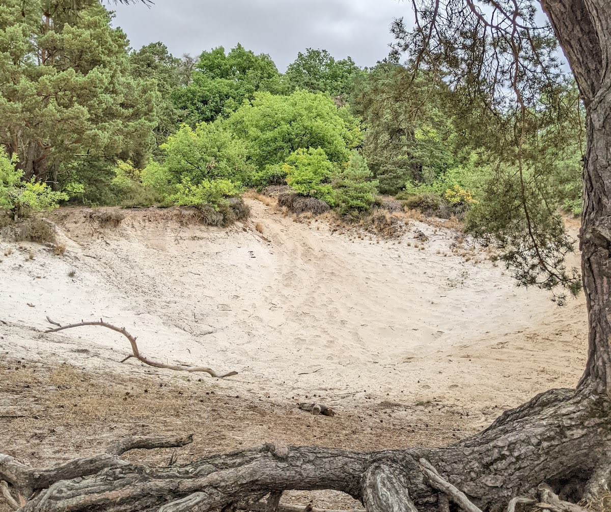 La sablière de la Butte Blanche en Essonne / © Rémi Belot pour Enlarge your Paris