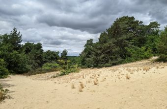 « La Traversée des sables », une balade à travers les vestiges du paléozoïque