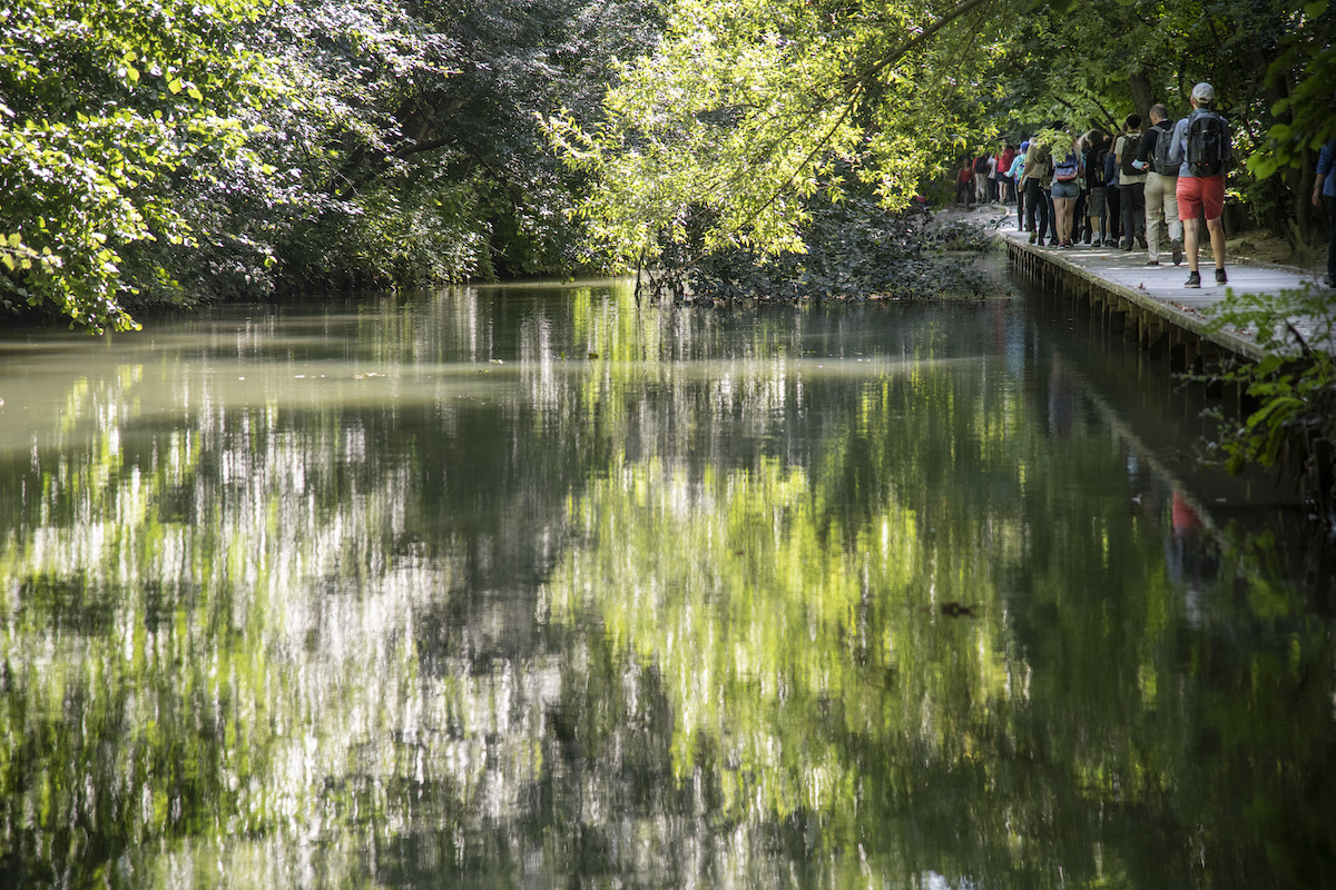 Les berges de la Marne à Maisons-Alfort / © Jérômine Derigny pour Enlarge your Paris