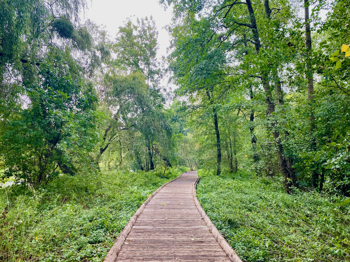 Dans les méandres de l'Yerres