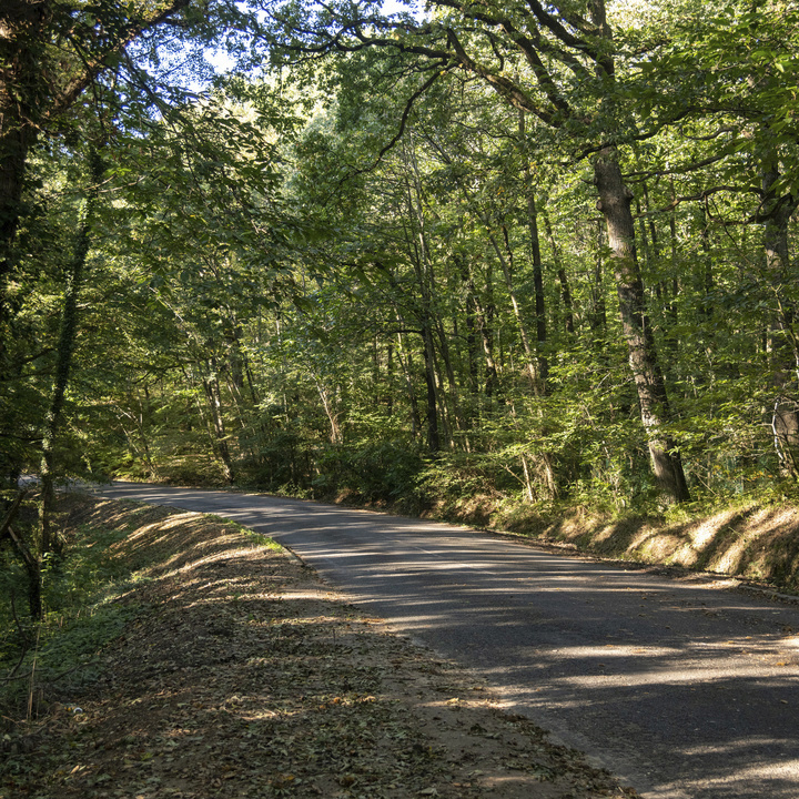 Petite route dans le Val-d'Oise / © Jérômine Derigny pour Enlarge your Paris