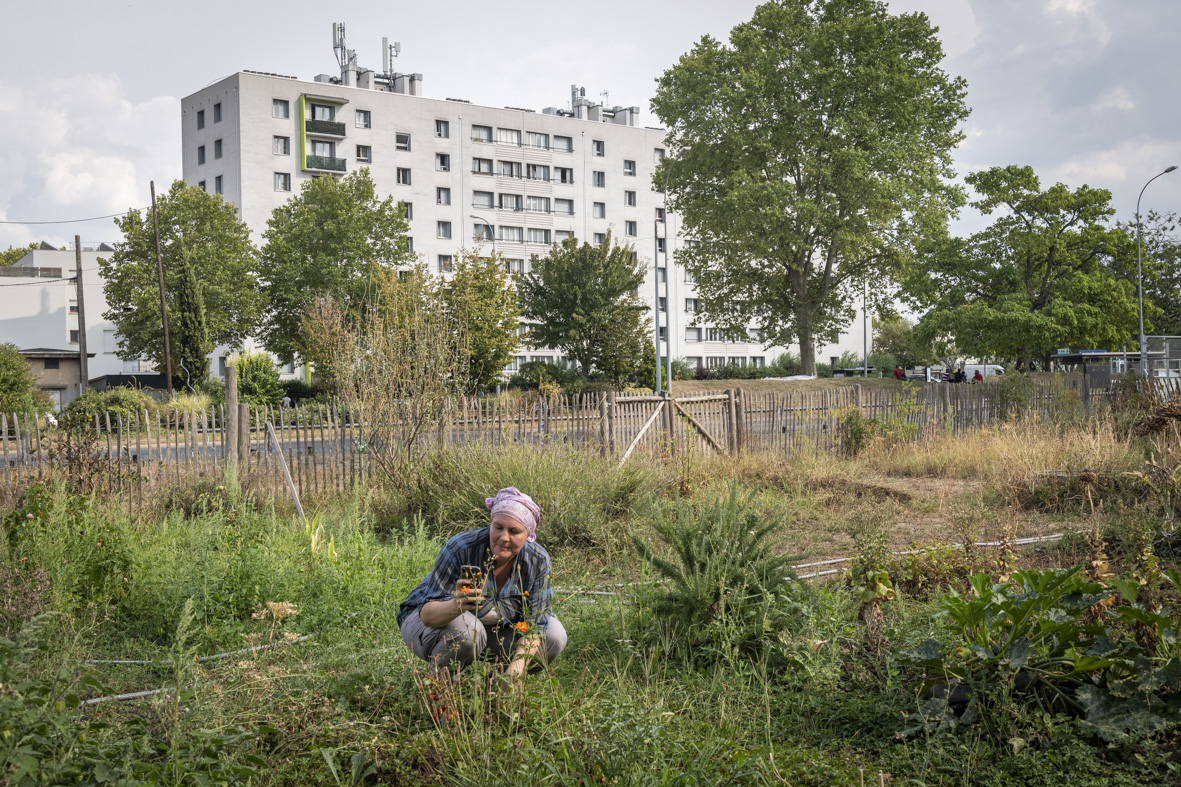 L'ethnobotaniste Valentine Diguet dans le Potager de la Reine au Moulin Fayvon à La Courneuve / © Jérômine Derigny pour Enlarge your Paris