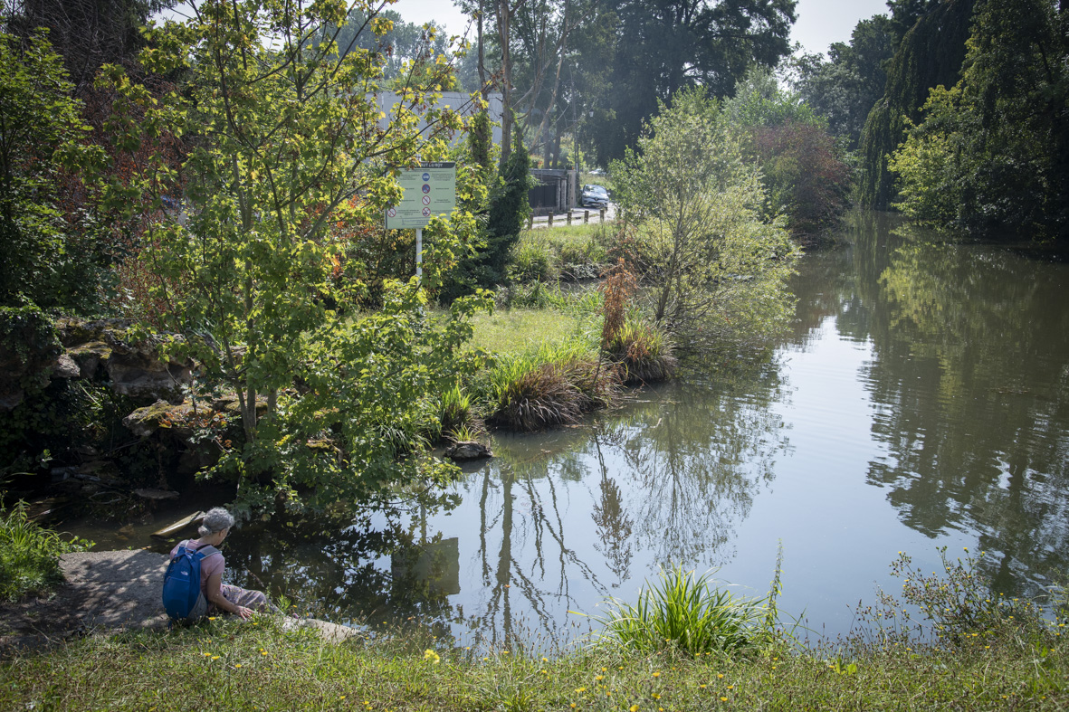 Le parc du Lac du Haut du Roy à Sarcelles / © Jérômine Derigny pour Enlarge your Paris 