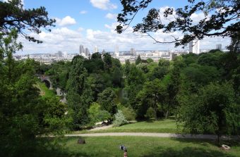 À Paris, quels arbres pour adapter la ville au changement climatique ?