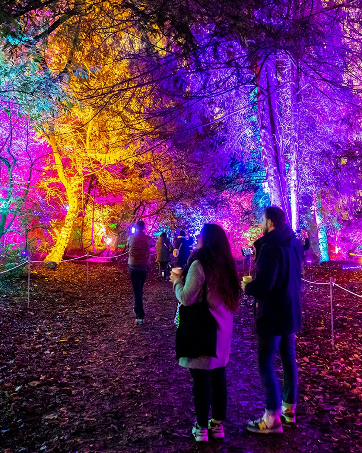 "Lumières en Seine" dans le parc de Saint-Cloud / © Lumières en Seine