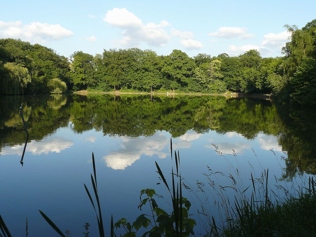 Ancien terrain de chasses royales, le bois de Meudon est la forêt la plus proche de Paris / © Félix Potuit (Wikimedia commons)