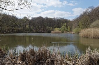 Découvrez la Ceinture verte d’Île-de-France en 25 étapes avec le Randopolitain