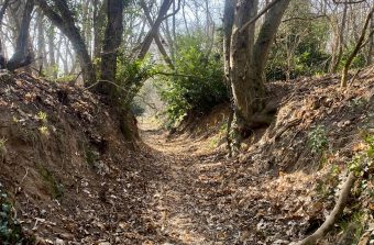 Randopolitain : Balade à travers la plaine de l’Hurepoix et son triangle vert