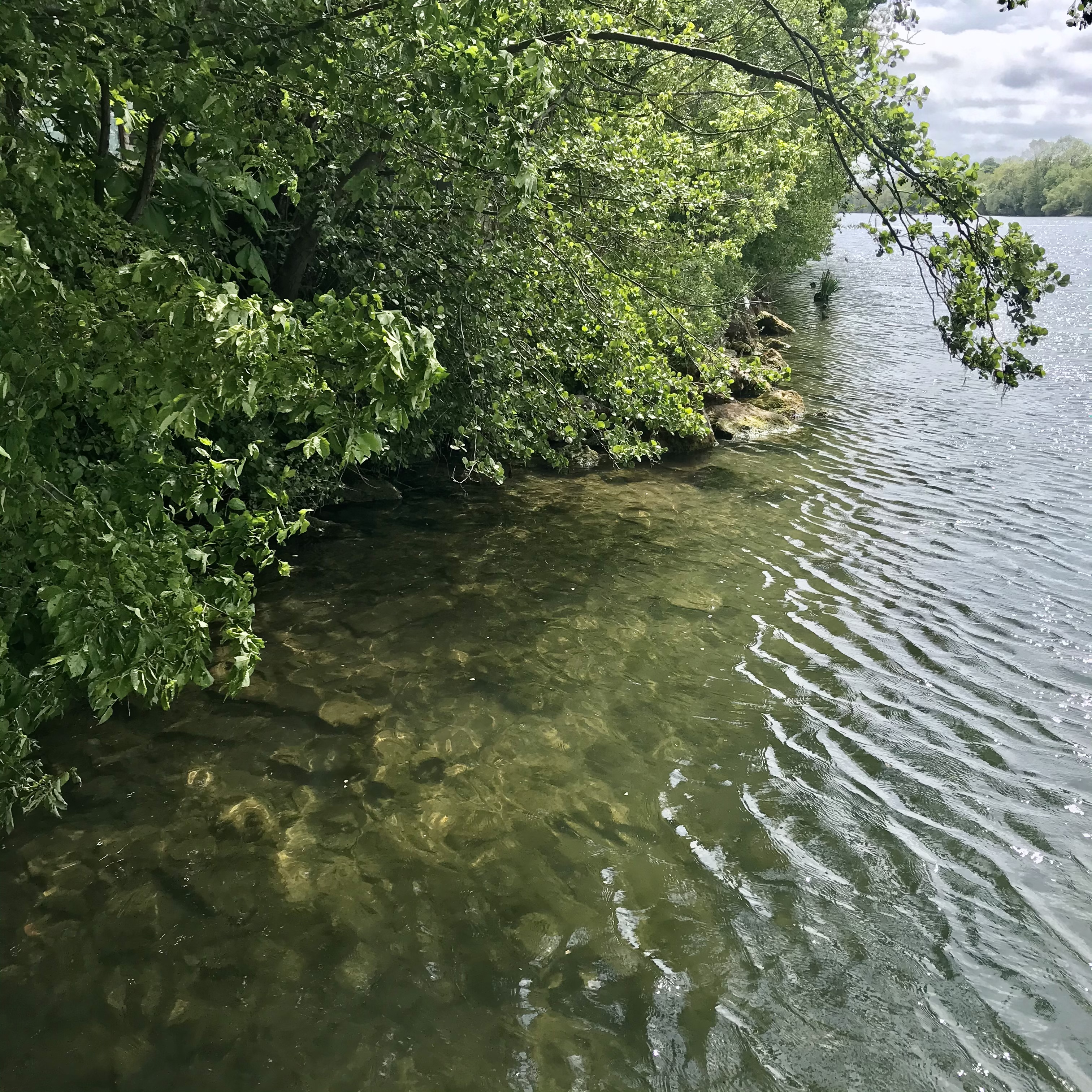 Les berges de la Seine depuis le Bois Chardon, espace naturel propriété d'Ile-de-France nature à Draveil (91). Vianney Delourme pour Enlarge your Paris