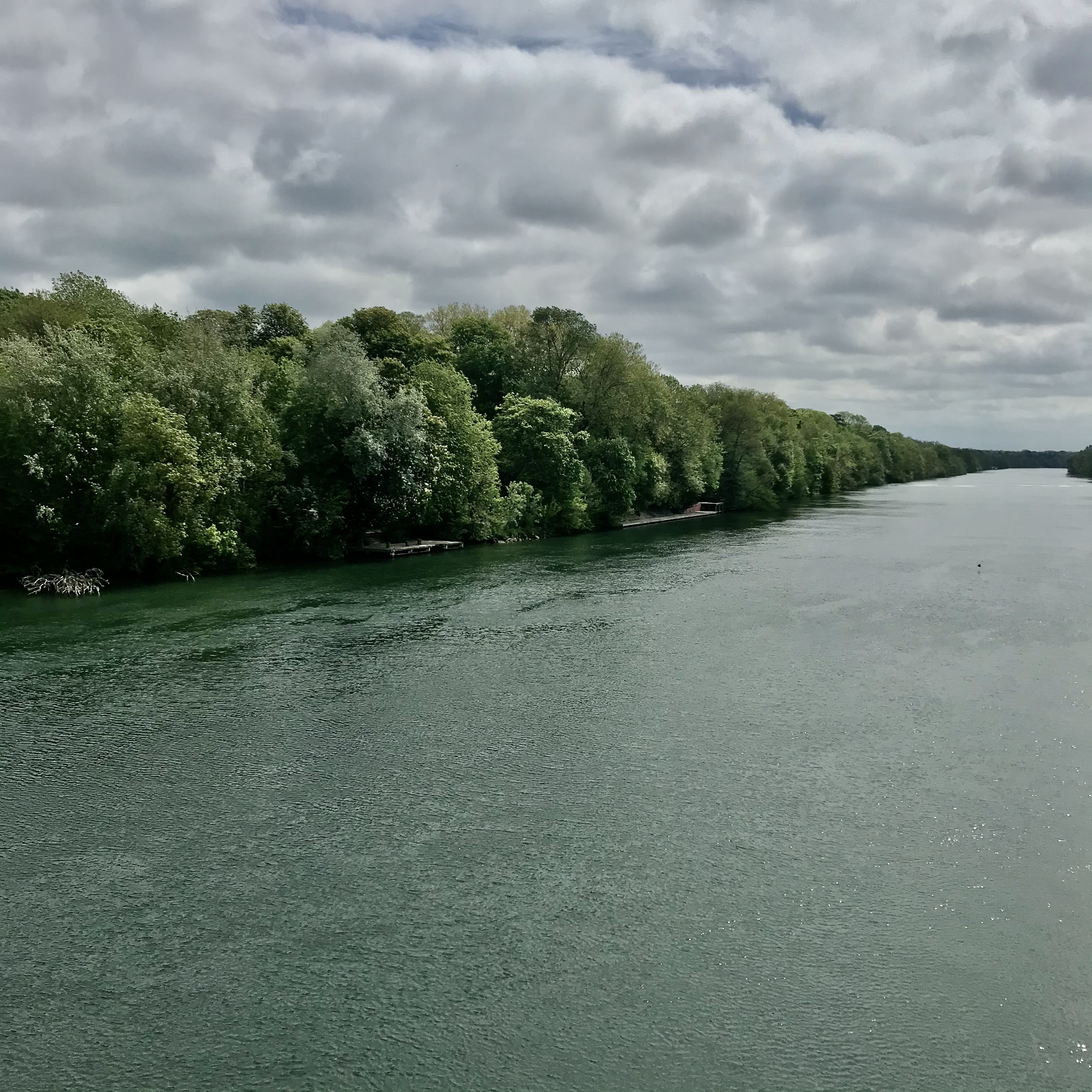 Le Bois Chardon depuis le pont de Ris-Orangis