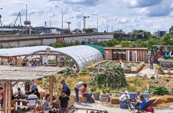 48 heures pour découvrir l’agriculture urbaine dans le Grand Paris