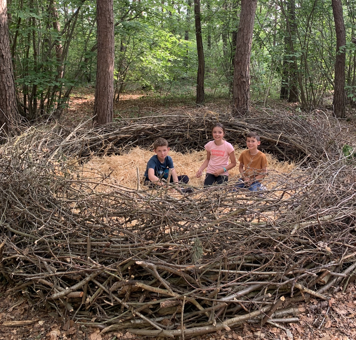 Le festival de Land Art de Buthiers se déroule du 26 au 28 mai dans la forêt / © Les Ateliers du Soleil 