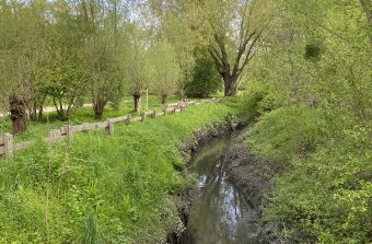 Le sauvetage du Sausset, petite rivière oubliée de Seine-Saint-Denis