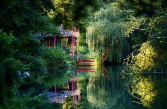 Sept jardins remarquables pour un bain de verdure en Seine-et-Marne