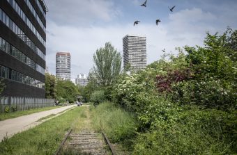 J’irai randonner dans la métropole du Grand Paris : Sur la Petite Ceinture avec Fatoumata Koné