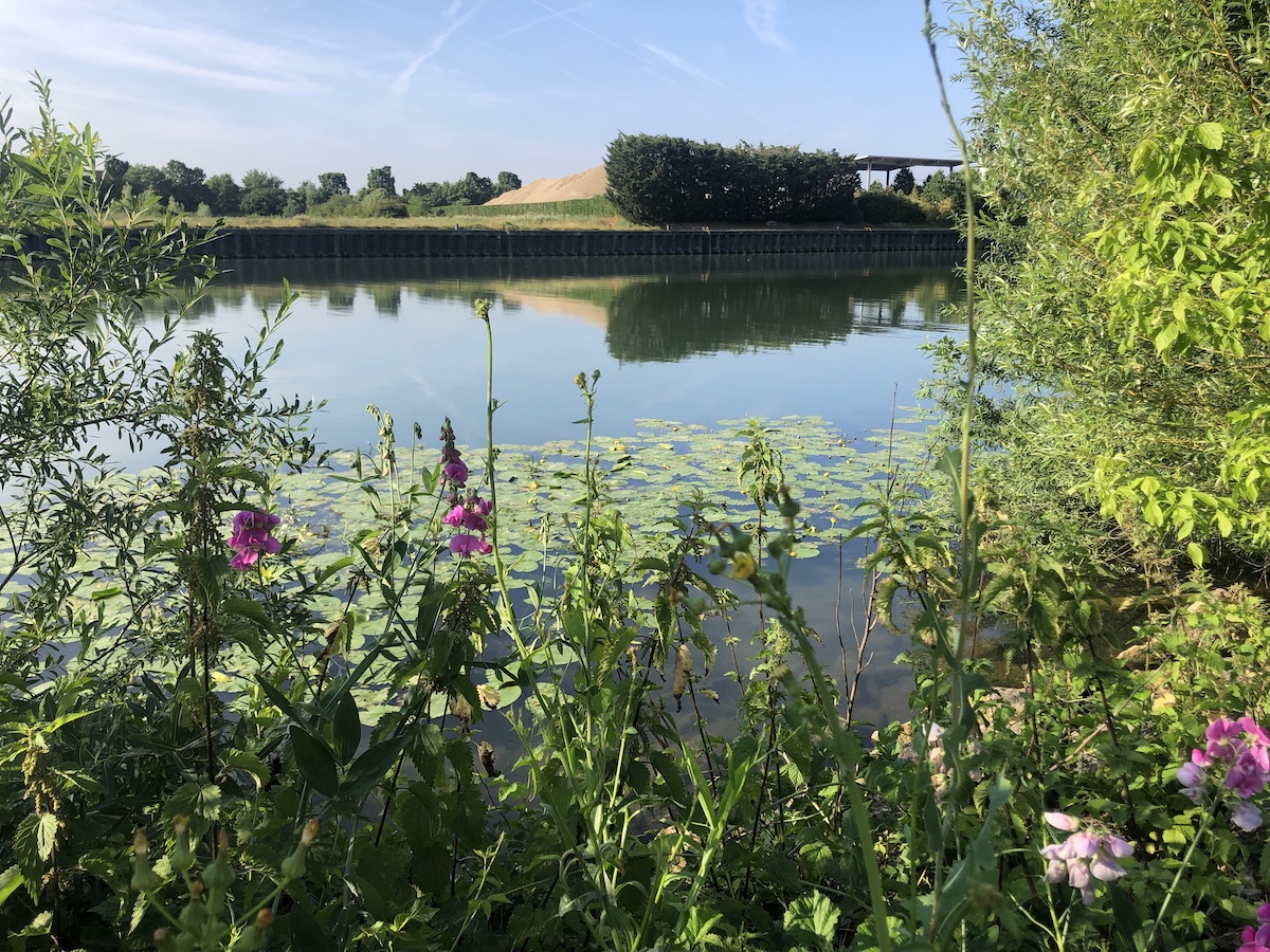 Les bords de Marne fleuris / © Tina Meyer pour Enlarge your Paris