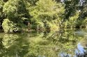 Balade au fil de l&rsquo;Yerres, la rivière qui traverse la ville en se croyant à la campagne
