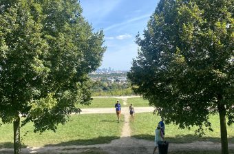 Randopolitain : Une journée en forêt de Saint-Germain entre Maisons-Laffitte et Poissy