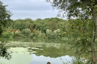 Randopolitain : Le domaine des princes, de la forêt de Meudon à Sceaux