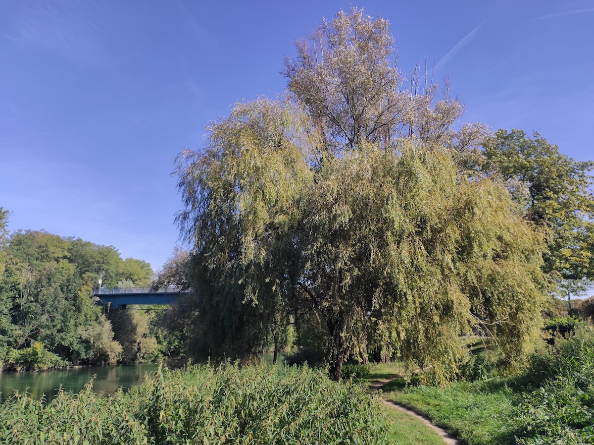 Sur les rives de la Marne à Noisy /  © Joséphine Lebard pour Enlarge your Paris