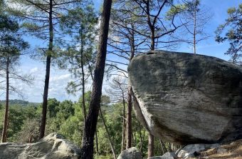 Balade du côté de Nemours, entre cité médiévale et mini-forêt de Fontainebleau