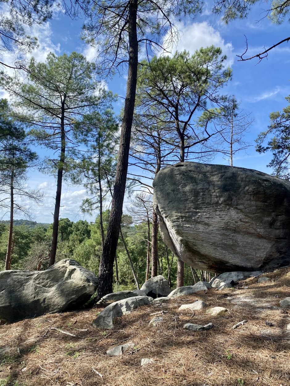 La forêt de Poligny, mini-Fontainebleau aux portes de Nemours / © Vianney Delourme pour Enlarge your Paris