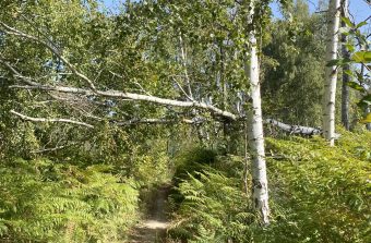 La Végétale, une coulée verte de 20 km pour rejoindre la campagne depuis Créteil