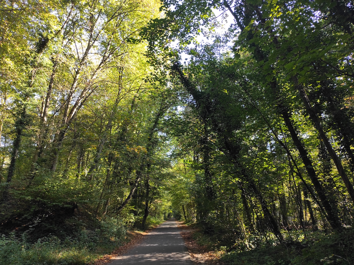 Une allée du parc forestier de la Poudrerie à Sevran / © Joséphine Lebard pour Enlarge your Paris