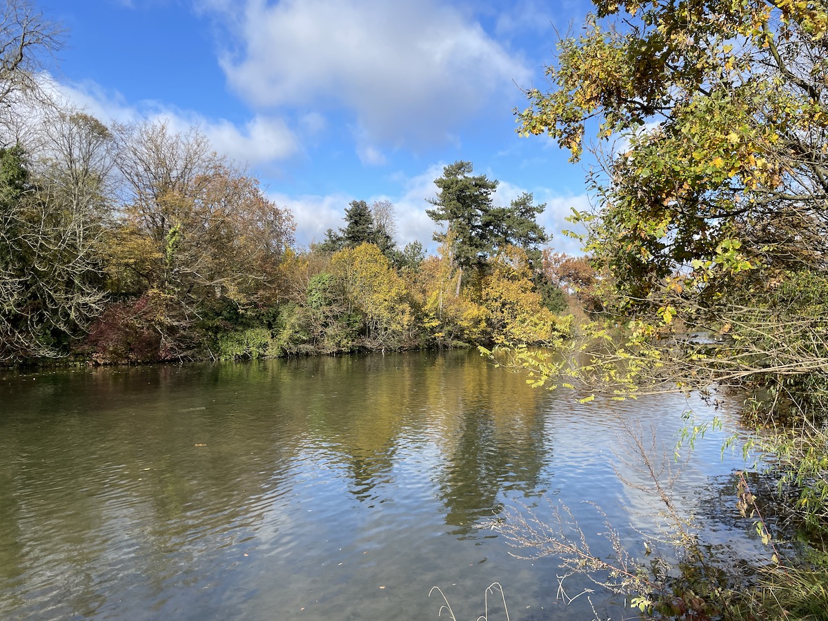 Le bois de Boulogne / © Virginie Jannière pour Enlarge your Paris