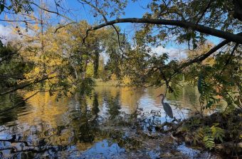 Comment j’ai découvert le bois de Boulogne après 40 ans à Paris