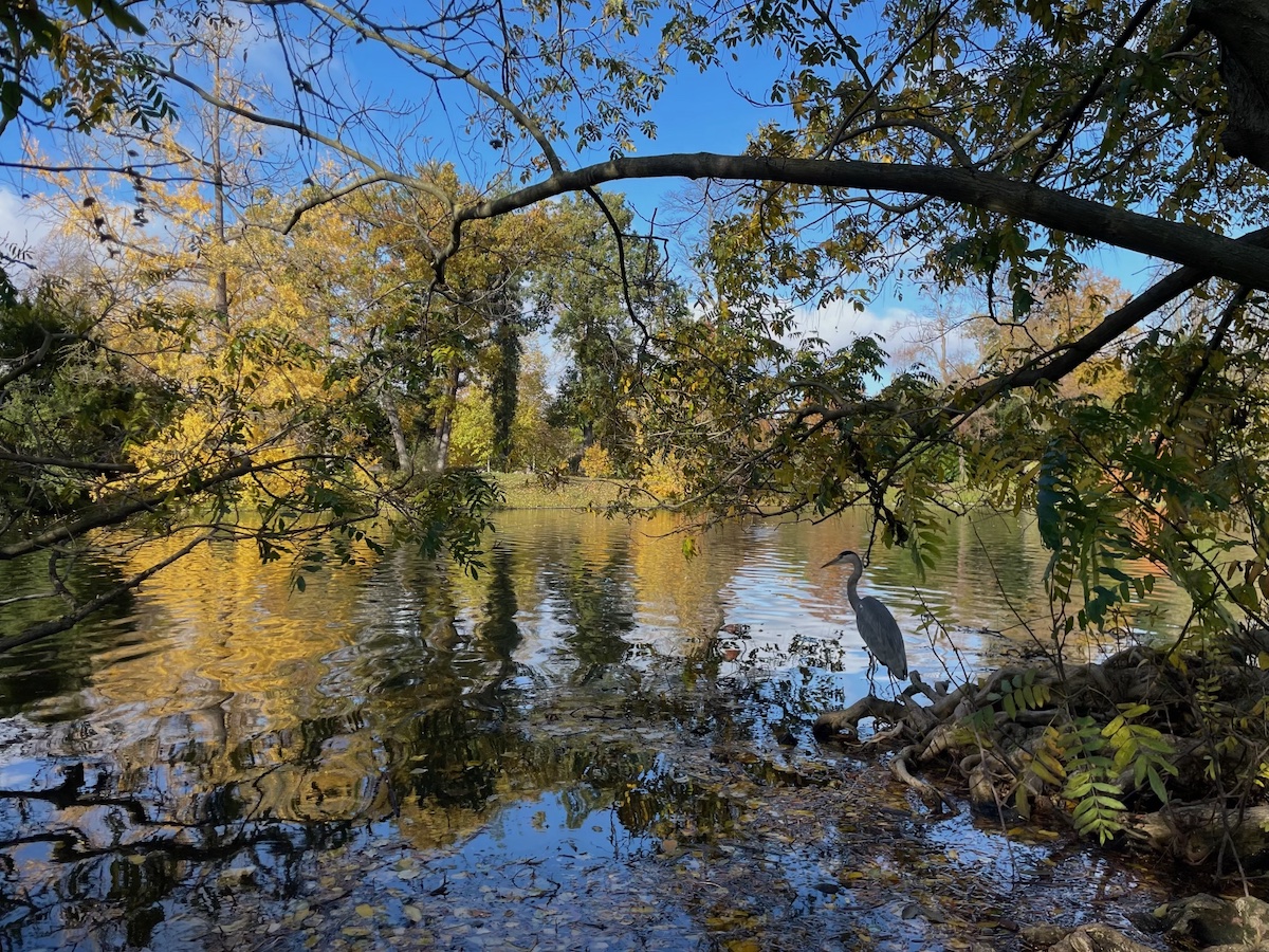 Les couleurs de l'automne au bois de Boulogne / © Virginie Jannière pour Enlarge your Paris