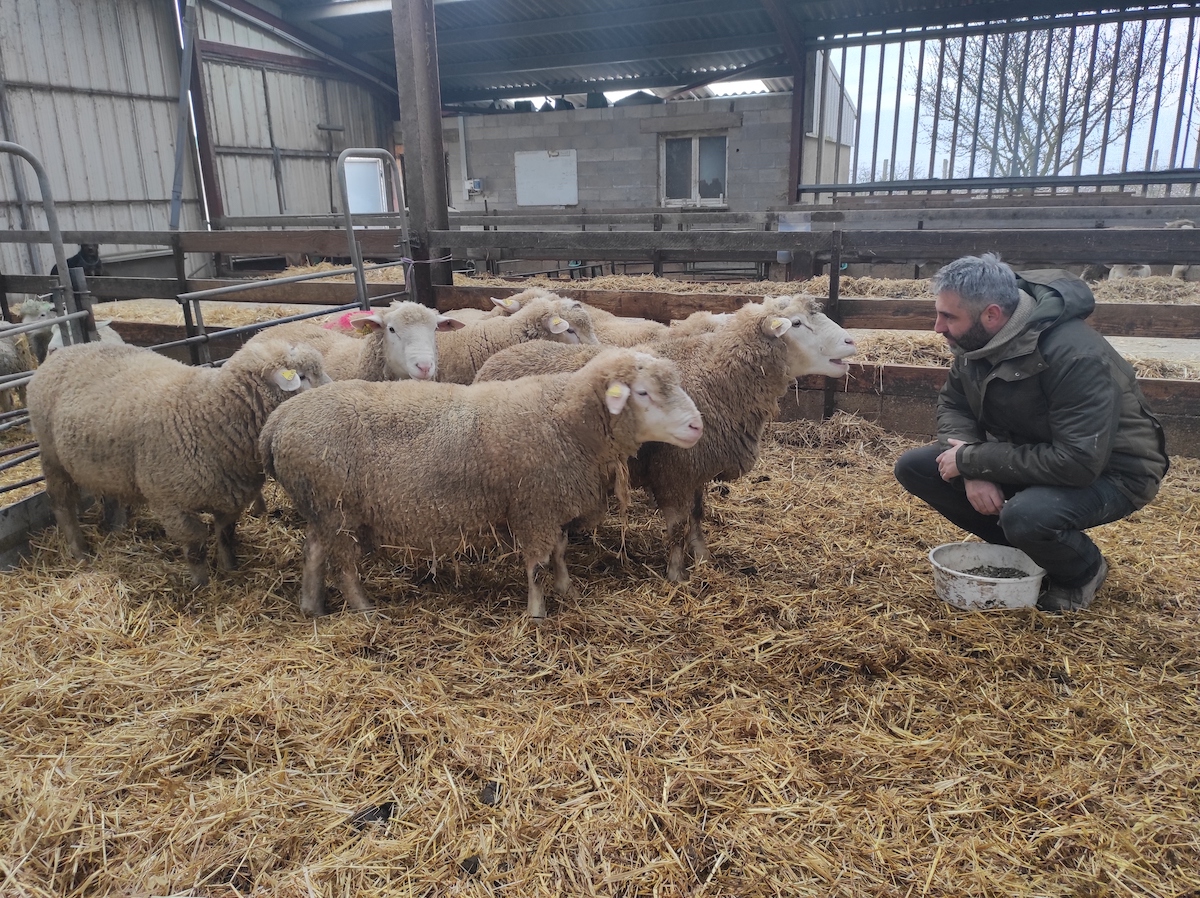 L'éleveur Vincent Morisseau et son troupeau à la ferme de Filbois en Seine-et-Marne / © Joséphine Lebard pour Enlarge your Paris