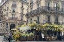 L&rsquo;éclosion des fleurs artificielles sur les devantures des cafés dénoncée