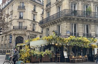 L’éclosion des fleurs artificielles sur les devantures des cafés dénoncée