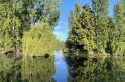 Randopolitain : Plongée dans un bain de forêt entre Marly-le-Roi et la Seine